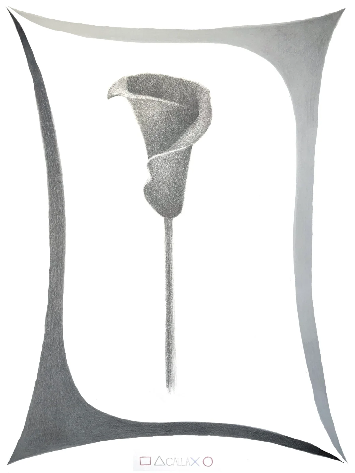 calla