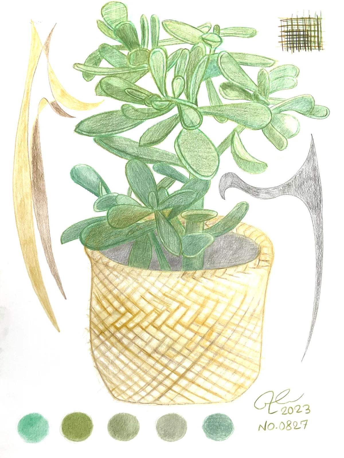 NO.0827