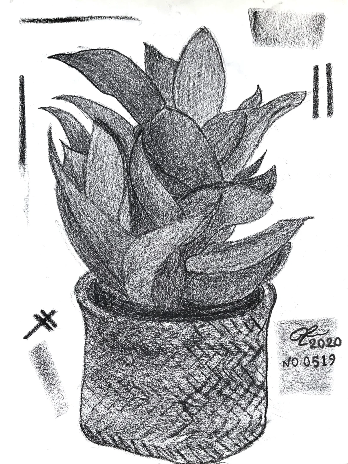 NO.0519
