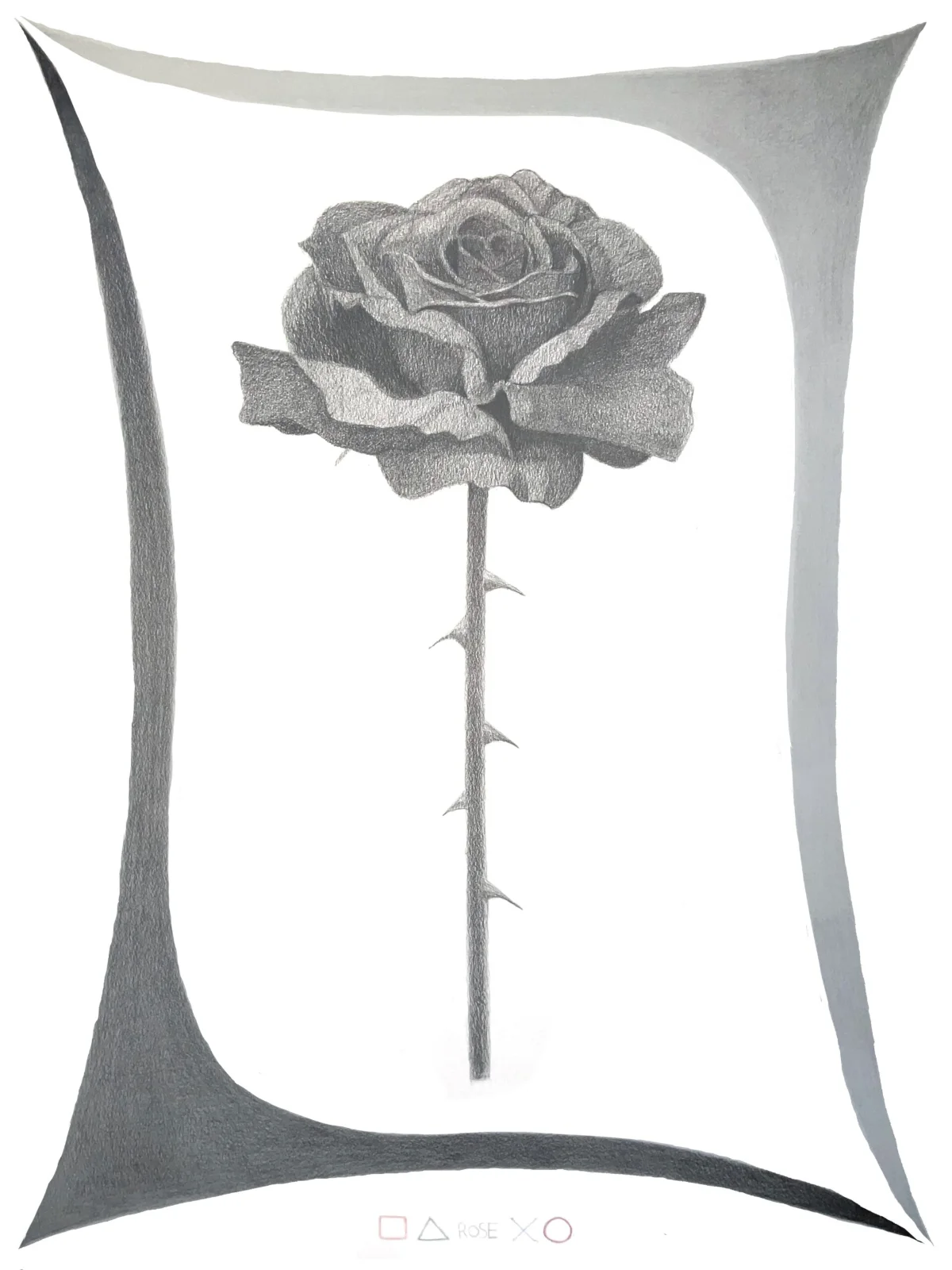 rose